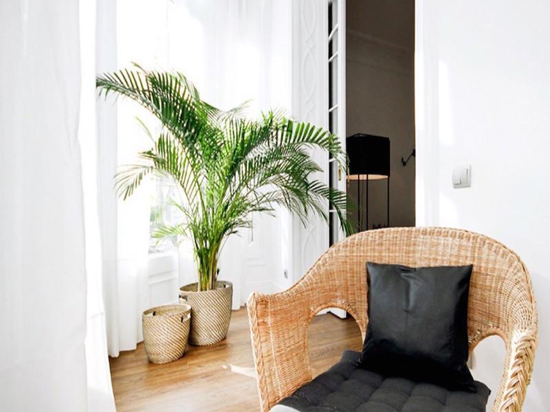 Malaga Apartments Andes La Cala Del Moral Εξωτερικό φωτογραφία